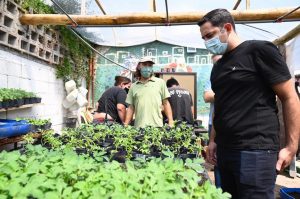 Impulso a la producción de plantas aromáticas y florales en barrio El Sauce